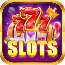pigbet